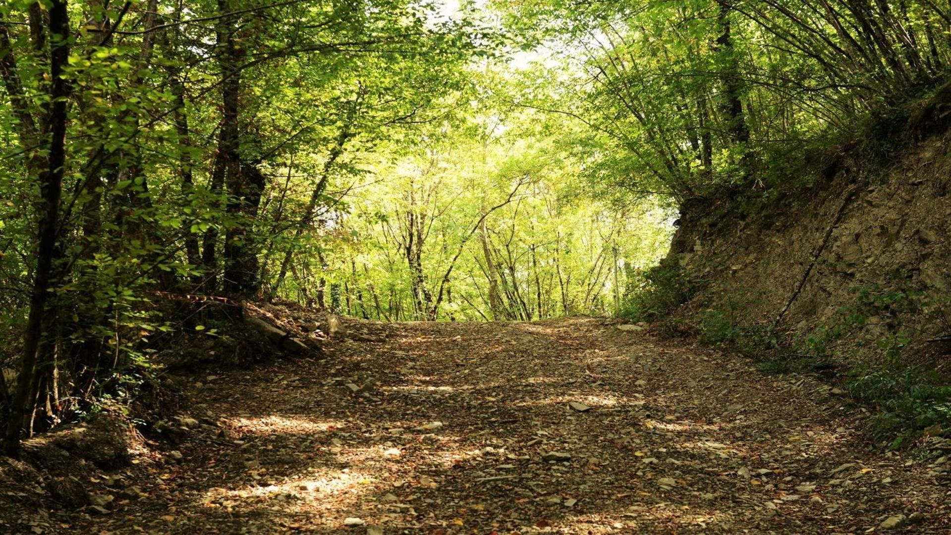 Baciano Azienda Agrituristico Venatoria Capolona Bagian luar foto
